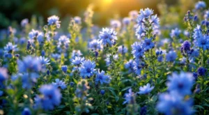 Agapanthe entretien 2026 : guide complet pour une floraison optimale